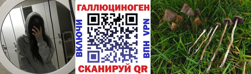Галлюциногенные грибы прущие грибы  Альметьевск 
